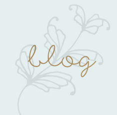 Boutique Genesis Wordpress Theme eCommerce Portfolio